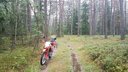 Lejak v litovských lesoch