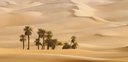 Dakar 2020 bude pravdepodobne v Saudskej Arábii