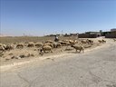 Odbocka na Mosul Dam Lake