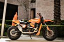 Harley Davidson Streed Rod 2017
