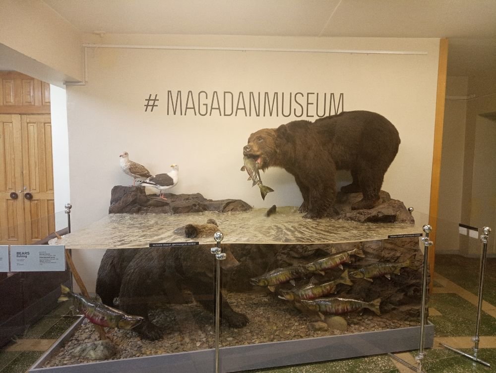 ...múzeum v Magadane