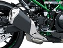 Kawasaki Z900 2025