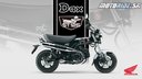 25YM Honda ST125 DAX