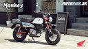 25YM Honda Monkey 125