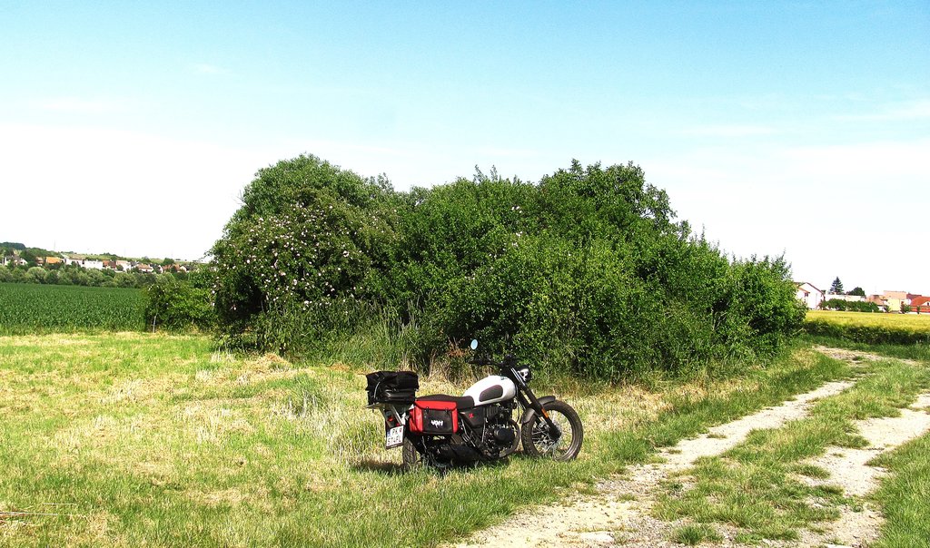 tam kde je húština začínal jarok na odtok dažďovej vody z polí do potoka.