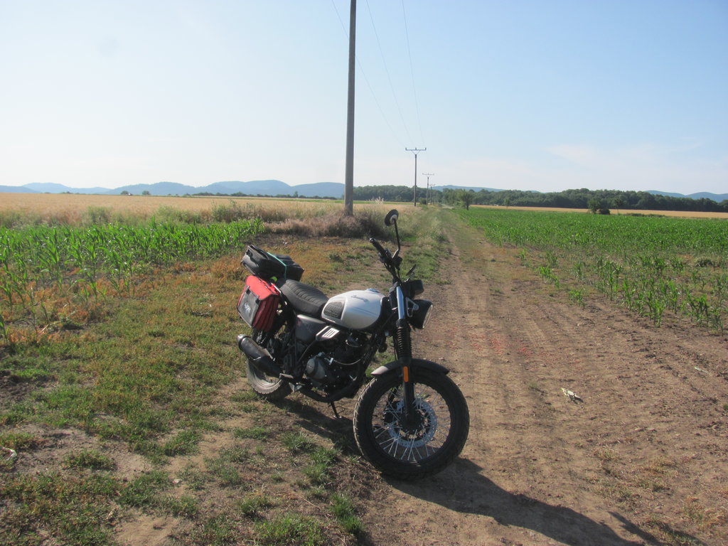 ohliadnutie sa na výpadovku Budmerice-Ružindol