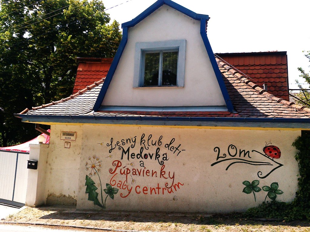 škôlka takmer v lese