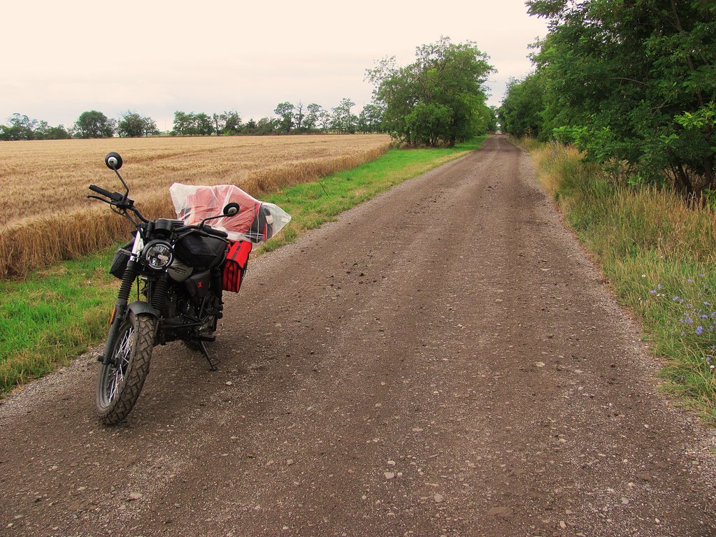 na starej ceste medzi Královou pri Senci a Lúčnym Dvorom - pohľad k Sencu