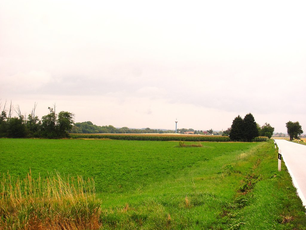 cesta zo Šenkvíc do Blatného