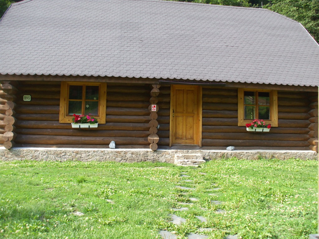 drevenica pri múzeu I