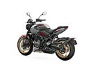 Triumph Trident 800 2026