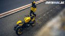 Yamaha XSR900 GP 2026 Legend Yellow 2026
