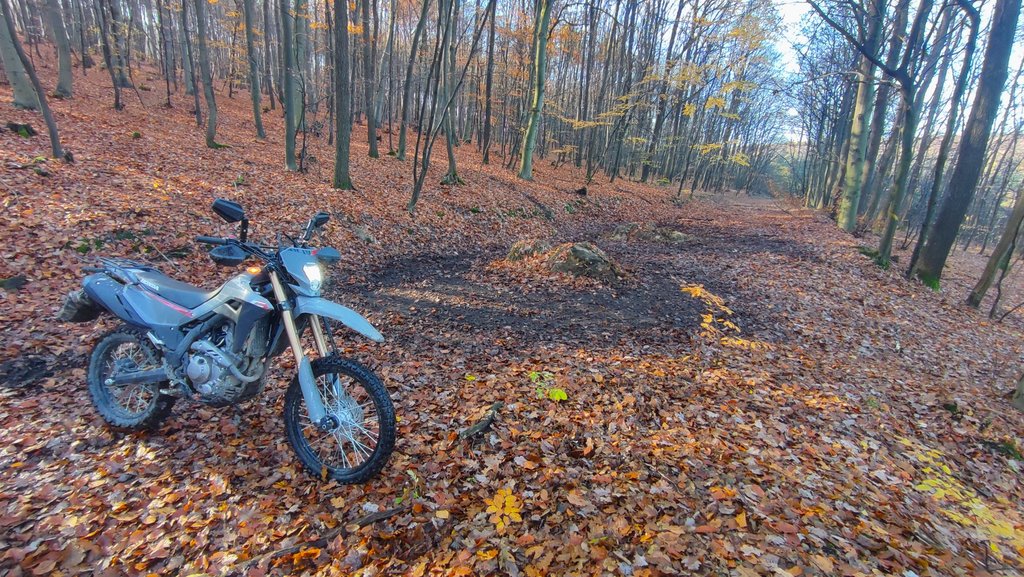 16. Cvičisko, hlavne nech je mäkko.