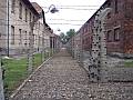 Oplotenie v tábore Auschwitz