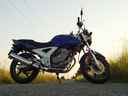 6 Honda CBF 250