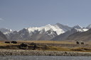 Tajikistan - Pamir 
