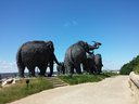Archeopark - mamutia rodinka