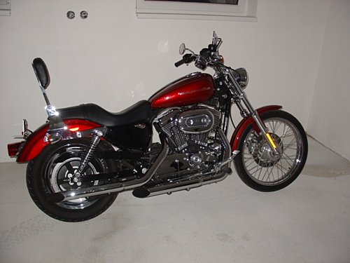 Harley-Davidson XL 1200 C Sportster Custom 2004