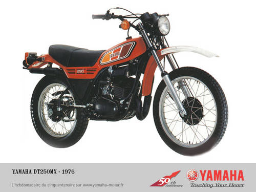 Yamaha DT 250 MX 1979