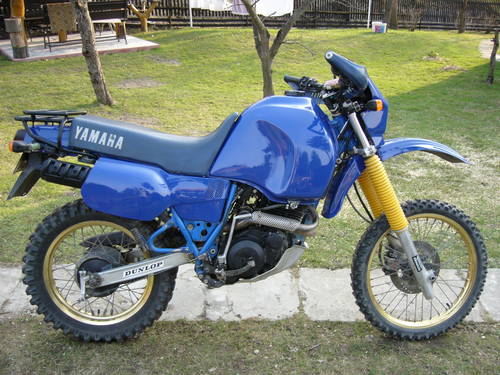 Yamaha XT 600 Z Ténéré (škrtená verzia 20.14 kW) 1990