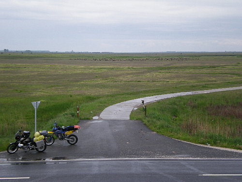  Pohľad z rozhľadne na voľne pasúci sa dobytok