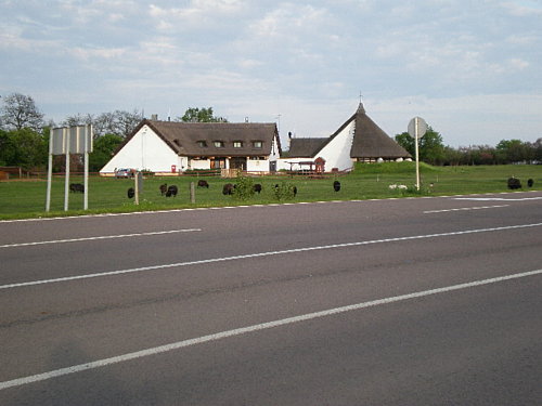  Puszta na Hortobágskej stepi