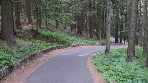  Cesta na Passo del Cason di Lanza