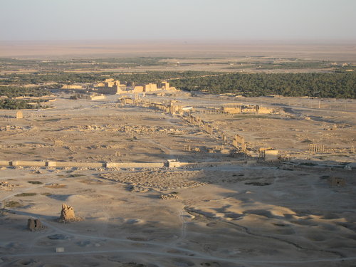  Palmýra z Citadely